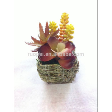 wholesale plastic mixed tropical green plants artificial succulent plant bonsai for decor